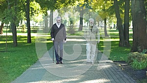 Aged best friends walking at day in park, one male disappearing, memories, loss