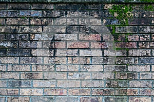 Aged Brick with Moss Texture