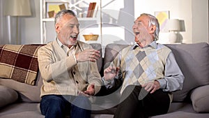 Aged brothers laughing sitting sofa together, old friends having fun, free time