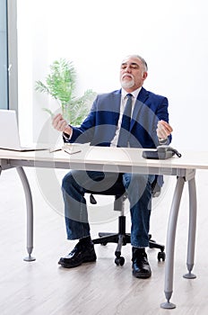 The aged businessman doing yoga exercises in the office