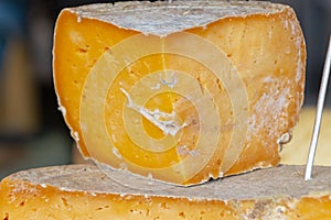 Aged cheddar Cheese photo