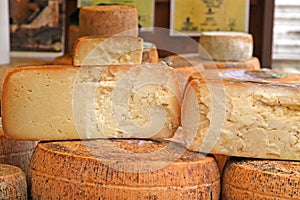 Aged cheese on sale in the local market stall