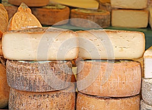 Aged cheese on sale in the local market stall