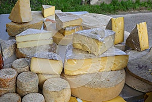aged cheese wheels and fresh cheese chunks for sale at a stall