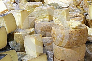 aged cheeses in the stall of dairy products made with milk of co