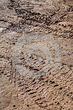 Dirt field with numerous tracks ingrained in the soil