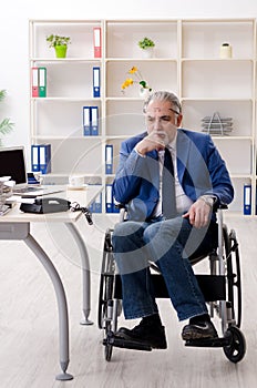 The aged employee in wheelchair working in the office