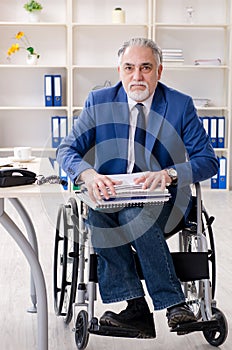 The aged employee in wheelchair working in the office