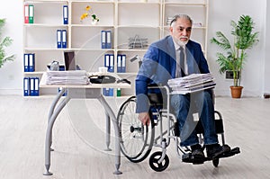 The aged employee in wheelchair working in the office