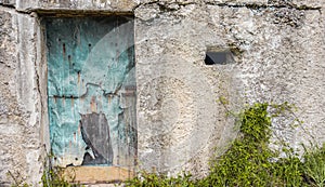 Aged Fantasy Vintage Overgrown Door