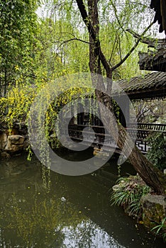 Aged gallery over water in spring,China