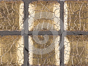 Aged gold cracked mosaic