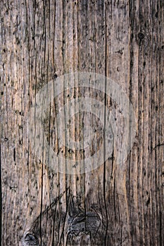 Aged gray brown nonpainted surface wooden plank close up texture background