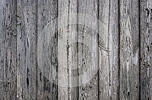 Aged gray wooden planks texture background backdrop