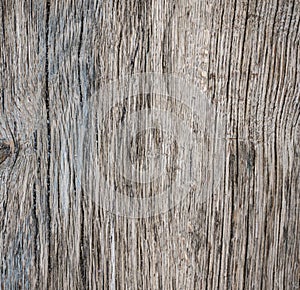 Aged grunge wood texture. Old background Weathered Shabby Vintage beach backdrop