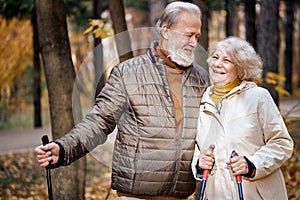 aged lovely couple are walking together through the autumn woods, nordic walking