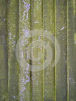 An aged and mouldy wooden fence panel