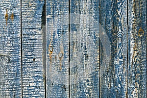 Aged Natural Old Blue Color Obsolete Weathered Wooden Board Background. Grundy Vintage Surface. Copy space