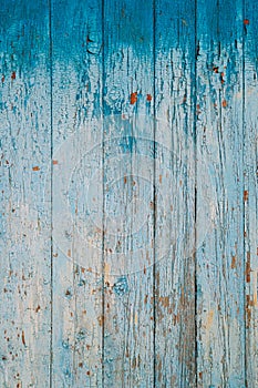 Aged Natural Old Blue Color Obsolete Wooden Board Background. Grungy Vintage Wooden Surface. Painted Obsolete Weathered