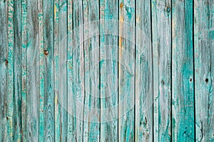 Aged Natural Old Blue Color Obsolete Wooden Board Background. Grungy Vintage Wooden Surface. Painted Obsolete Weathered