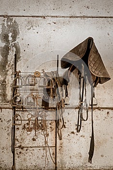 Aged old horse barn interior with equipment hanging on wall