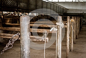 Aged old horse barn interior with wooden stakes in a row