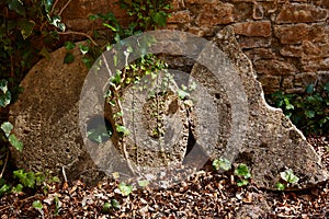 Aged old mill millwheel stone wheel in Spain