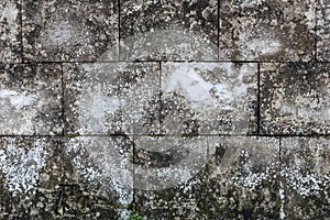 Aged Old Red White Gray Brick Wall Texture Destroyed Concrete Horizontal Background. Shabby Urban Messy Brickwall Structure. Stone