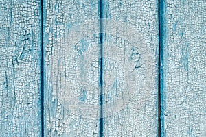 Aged painted cracked boards with blue color peeling paint. Old natural grunge textured wooden texture. Weathered wood wall for