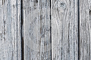 Aged painted cracked boards with peeling paint. Old natural grunge textured wooden texture. Weathered wood wall for design closeup