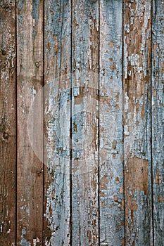 Aged painted wooden fence, naturally weathered