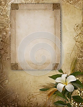 Aged Paper Background With a Photo Frame