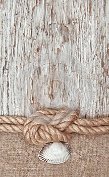 Aged paper with ship rope and seashell