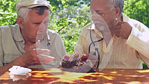 Aged people consider hedgehog health in green garden