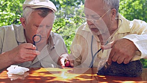 Aged people look at table through magnifying glass