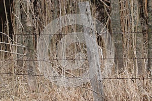 Aged photo of Old wooden fence post with barbwire in a pasture