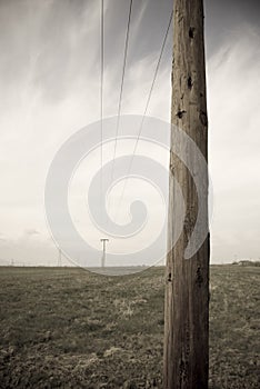 Aged photo telephone pole