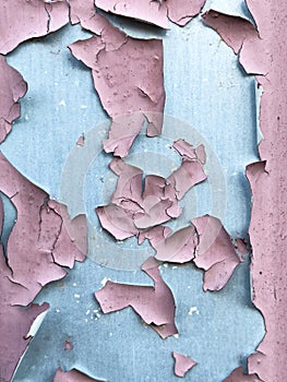 Aged pink weathered metal background with cracked paint