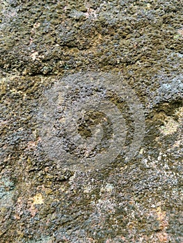 Aged rock surface texture close up