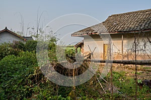 Aged tile-roofed farmhouse in sunny spring morning