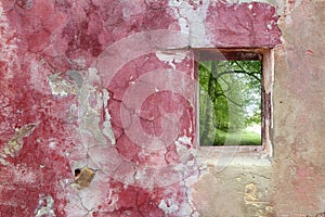 Aged weathered pink wall window beech forest