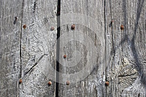 Aged Wood and Rusty Bolts Background