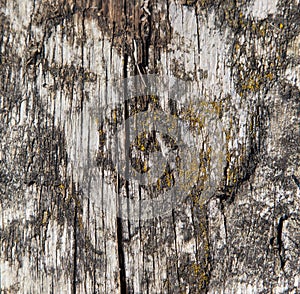 Aged wood texture background