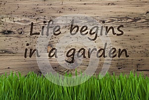 Aged Wooden Background, Gras, Quote Life Begins In A Garden