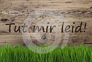 Aged Wooden Background, Gras, Tut Mir Leid Means Sorry photo