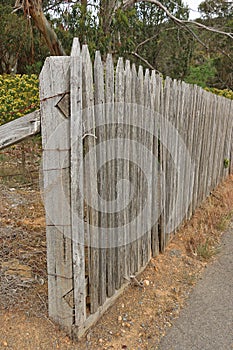 An aged wooden paling fence