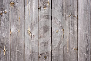 Aged Wooden Panel Wall or Backdrop