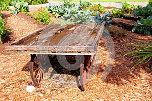 Aged wooden wagon, South Florida