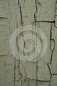 Aged yellow paint on wooden board