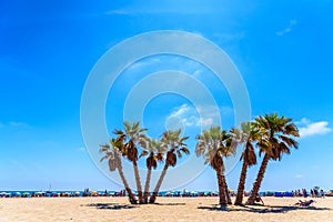 Agglomeration of holiday people taking advantage of the sand of a Mediterranean beach to place